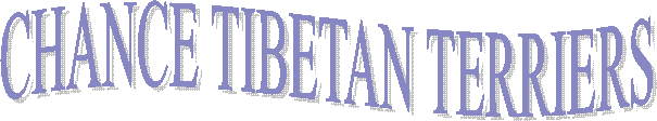 CHANCE TIBETAN TERRIERS
